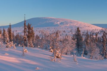 Сопка Палкаскеро в Муонио, Лапландия, январь. Фото: Simo Räsänen / Wikimedia Commons, CC BY-SA 3.0