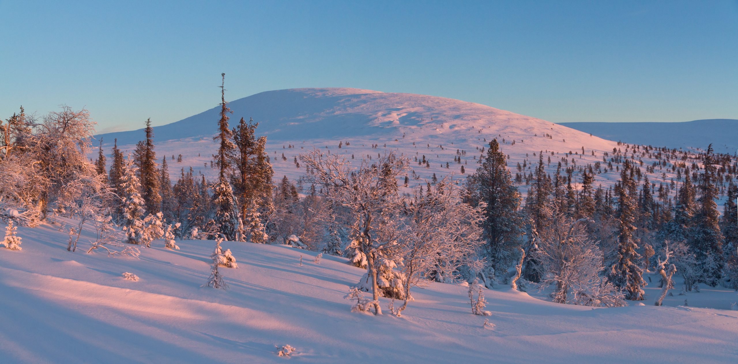 Сопка Палкаскеро в Муонио, Лапландия, январь. Фото: Simo Räsänen / Wikimedia Commons, CC BY-SA 3.0