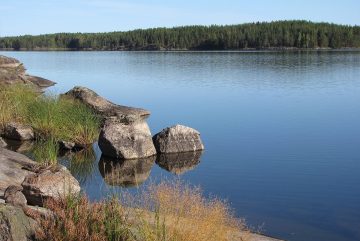 Скалистый берег озера Сайма. Фото: Petritap / Wikimedia Commons, CC BY-SA 3.0