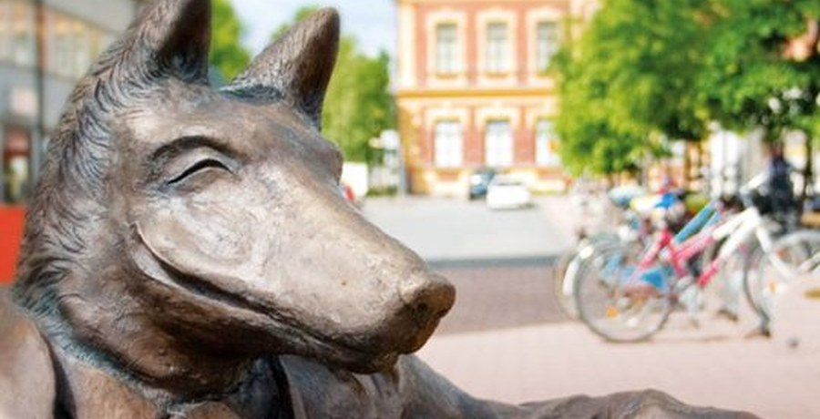 Kosiosusi, Joensuu